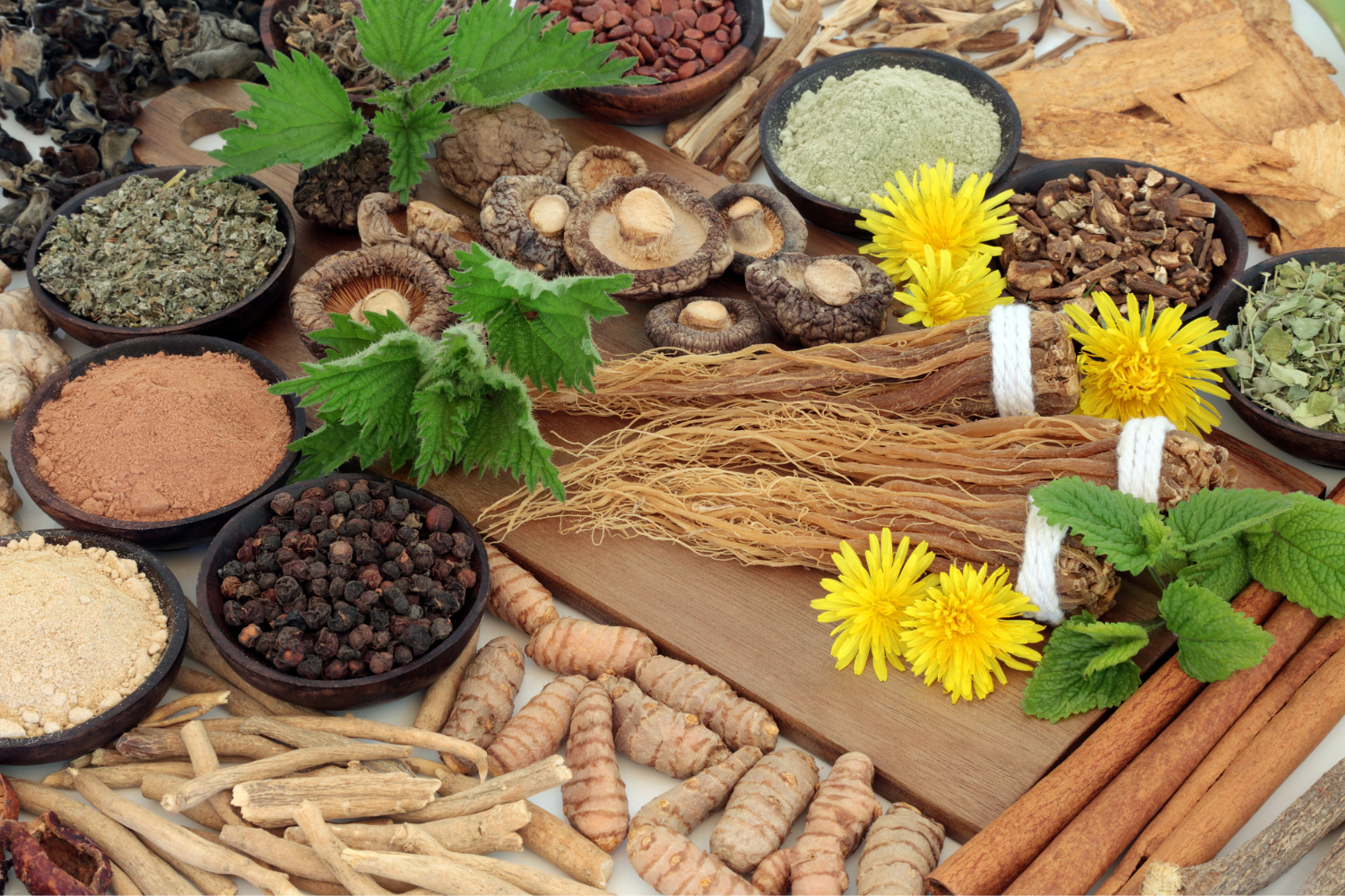 variety of adaptogens on table
