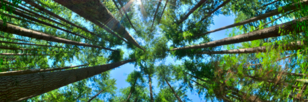 Earth Day, Every Day