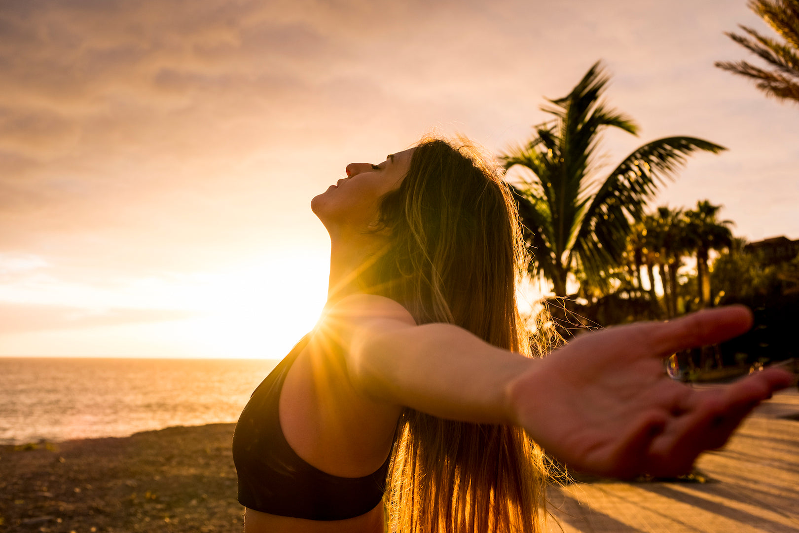 The Role of Probiotics for Optimum Health and Wellness