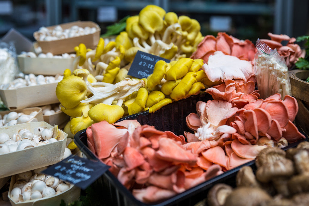 What’s All The Buzz About Mushrooms And Their Benefits?